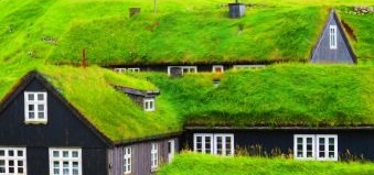 Zielony dach - ekologiczne rozwiązanie dla twojego domu