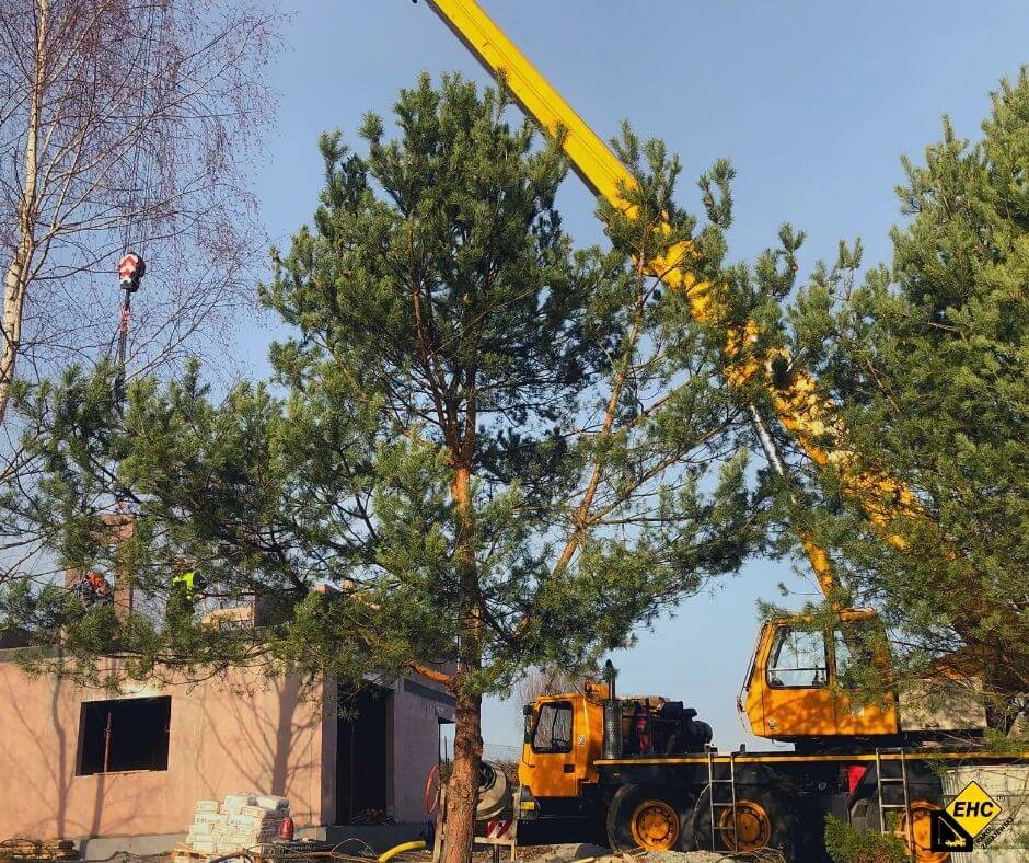 żuraw samochodowy budowa bhp