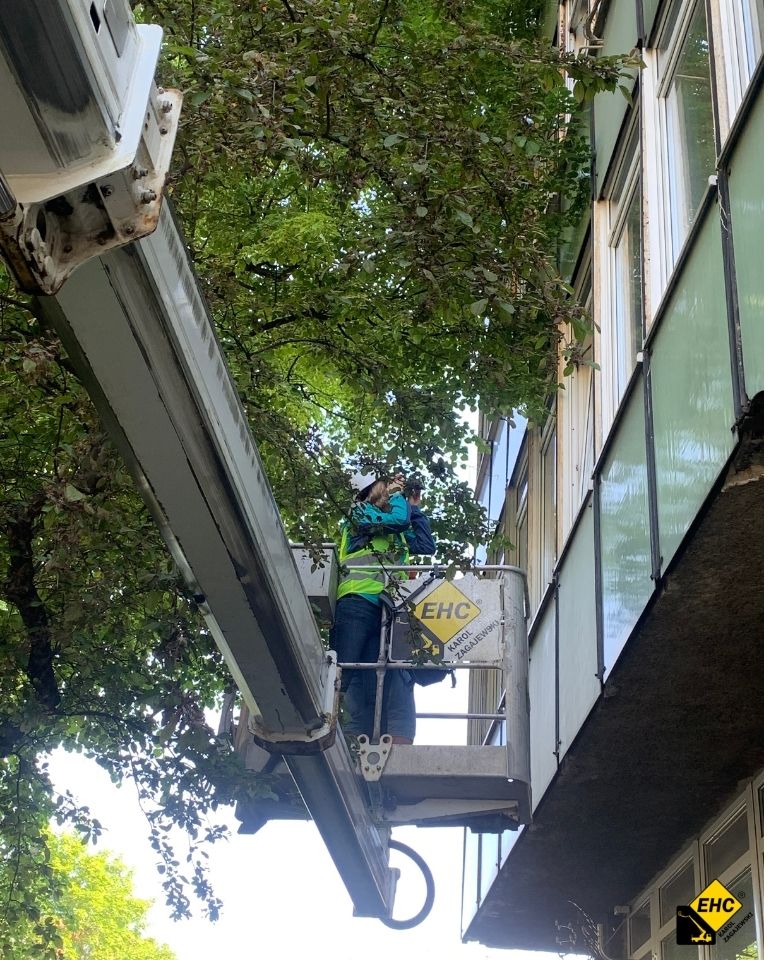 wynajem podnosnika koszowego do plyt elewacyjnych