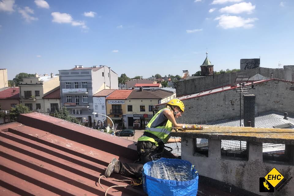 siatki na gołębie Kraków