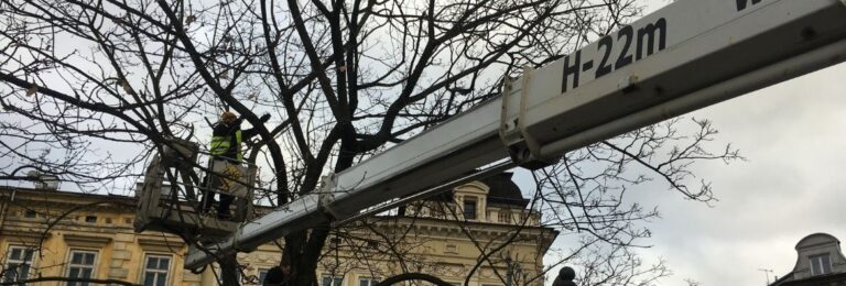 oswietlenie zewnętrzne z kosza zyżki