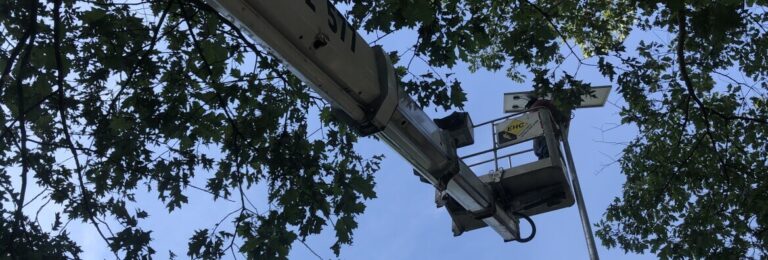 wypożyczalnia podnośników koszowych