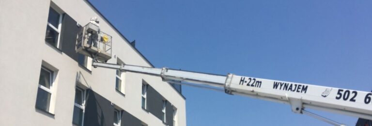 Jak znaleźć gniazdo szerszeni zwyżką