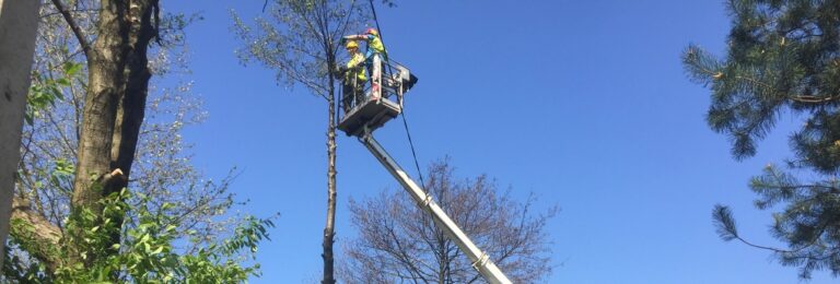 podnośnik do wycinki