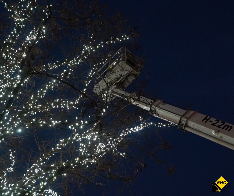 oswietlenie drzewka w ogrodzie z pomoca zwyzki