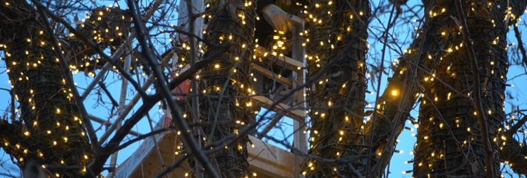 montaz swiatelek z kosza zwyzki