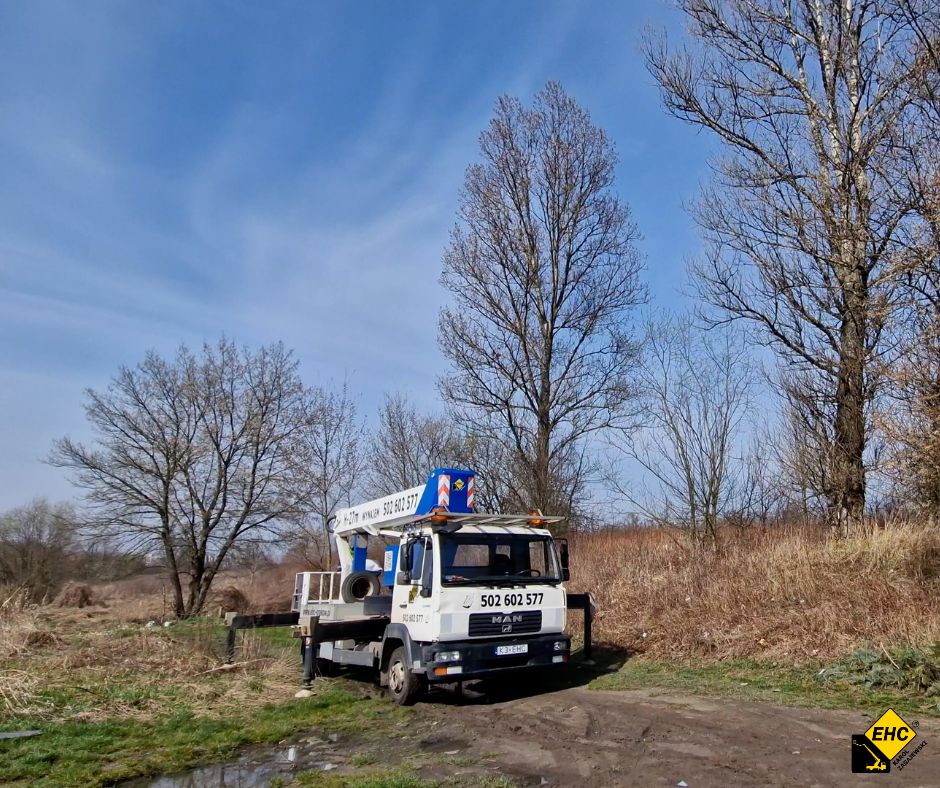 drona na drzewie ściągany z podnośnika