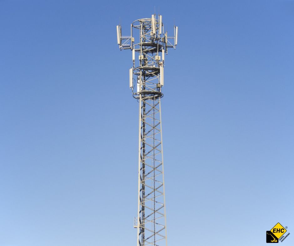 wypożyczalnia żurawi